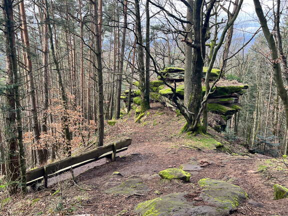 24-02-26 14-04-17 8709